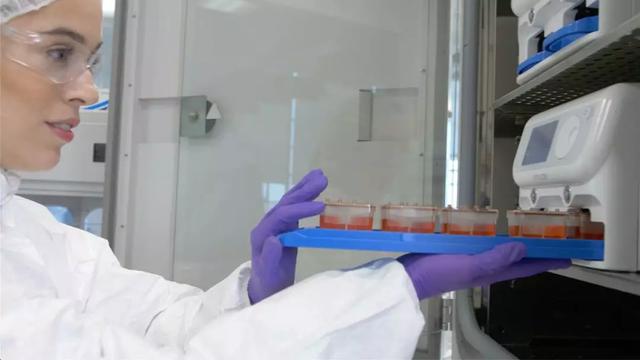 圖片來源：Emulate官網(wǎng)