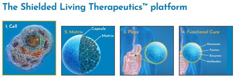 Shielded Living Therapeutics平臺（圖片來源：Sigilon Therapeutics官方網(wǎng)站）