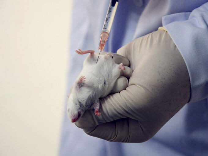 生物相容性試驗的介紹和實行過程 生物相容性試驗的介紹和實行過程