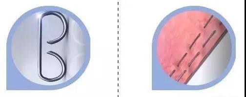 741597121035875.jpg 微信圖片_20200811124334.jpg